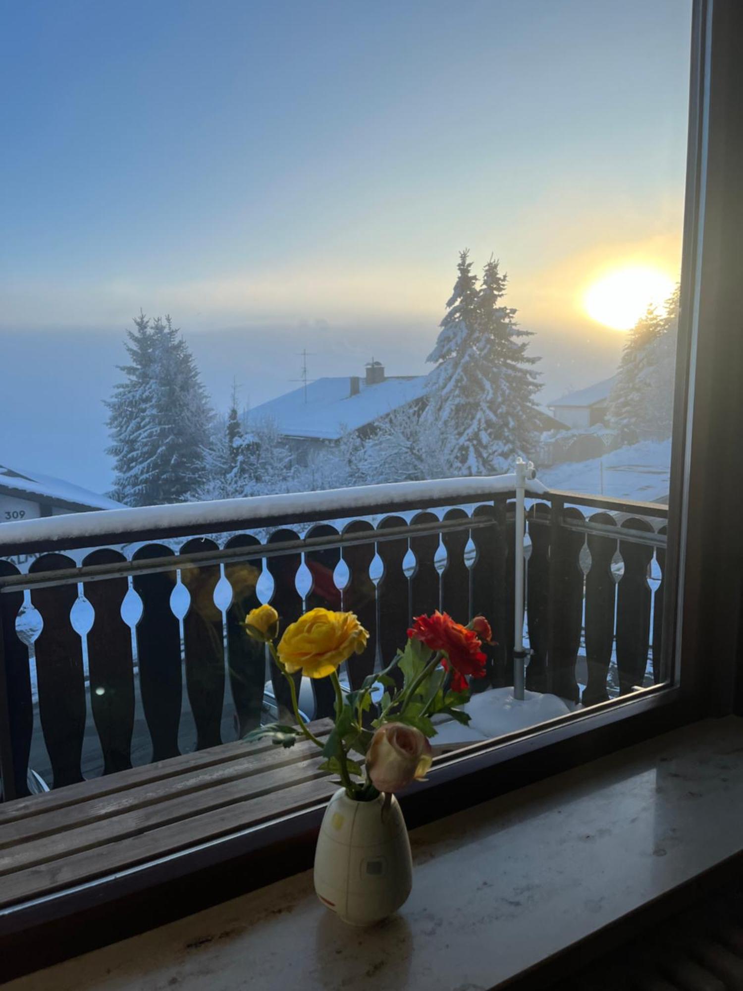 Helle Wohnung Mit Grossem Balkon Oberreute Exterior photo